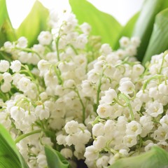 lily of the valley bouquet