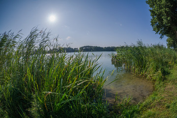 brzeg jeziora latem w słoneczny dzień © Mariusz Sowula