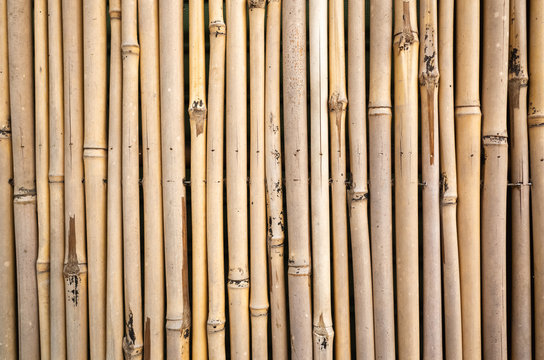 yellow bamboo wall background