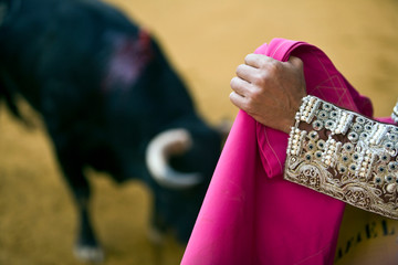 Bullfighter with the capote or cape, Spain