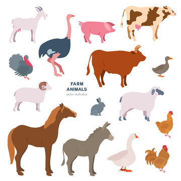 Farm animals vector illustration set.
