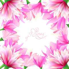 Pink peony flowers frame.