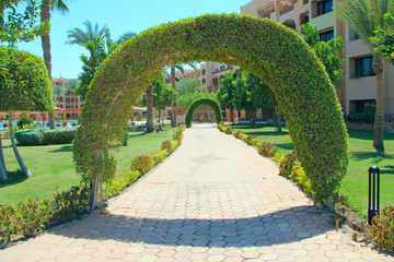 Beautiful arch from growing plant and walkway near five-star hotel