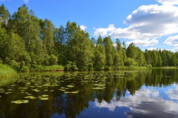 Fototapeta na wymiar Finnish summer in Puolanka, northern Kainuu. Lake with water lilies. Verdant forest and clouds.