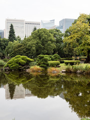 Fototapeta na wymiar Traditional Japanese garden with pond at Hibiya park - Tokyo, Japan