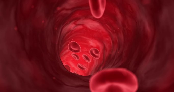Red blood cells travelling through a blood vessel. Clip loops seamlessly