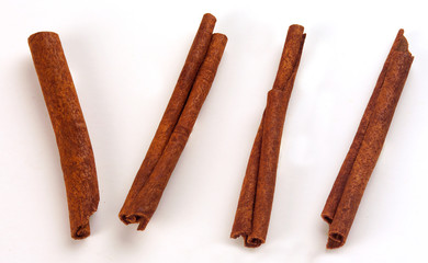 Study of Cinnamon Sticks against white