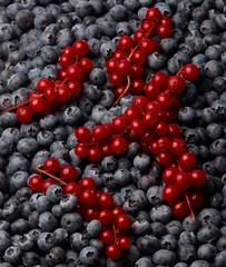 Study of Red Currants & Blueberrie pile