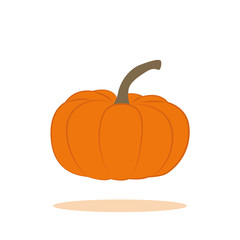 orange pumpkin isolated on white background vector illustration EPS10