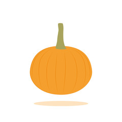 orange pumpkin isolated on white background vector illustration EPS10