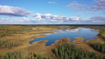 Top view of the Yamal tundra in Russia at full calm in autumn