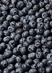 Study of Blueberries in a pile