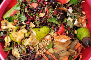 Wasps swarm and fly eating kitchen leftovers. Kitchen fruit and vegetable waste ready for garden...