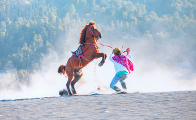 Red horse rearing up on desert with  unidentified horse rider