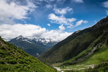 Fototapeta na wymiar Scenic view while hiking in Glacier National Park, British Columbia