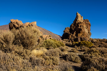 Pico del Teide. Tenerife, Spain. plants and lava.