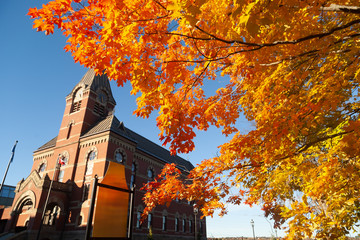 Fredericton city hall and autumn color