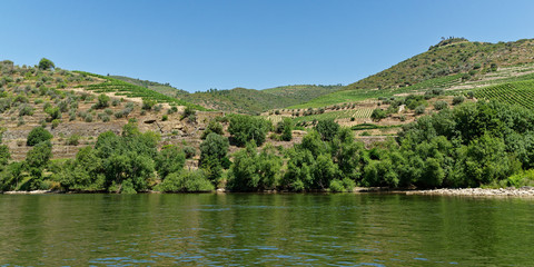 auf dem Douro, N&auml;he Pinhao, Portugal