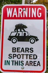 bear sign