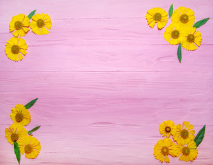yellow and orange flowers with green leaves pink wooden background texture tree top view