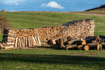 Brennholz gestapelt und abgedeckt © focus finder
