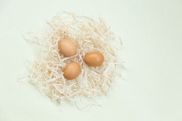 three eggs in a nest