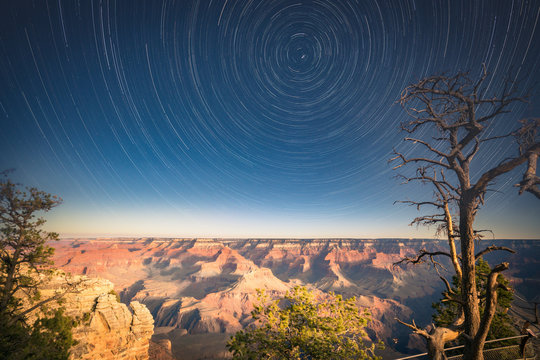 Grand Canyon Under Moon Light With Star Trails