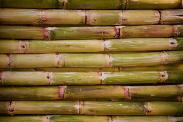background of Sugarcane  © SWATI