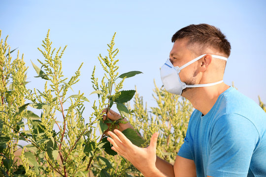 Man suffering from ragweed allergy outdoors on sunny day