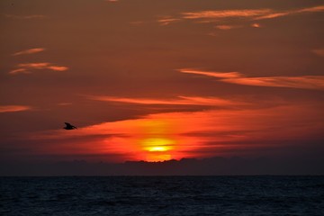 a beautiful sunrise at the black sea shore