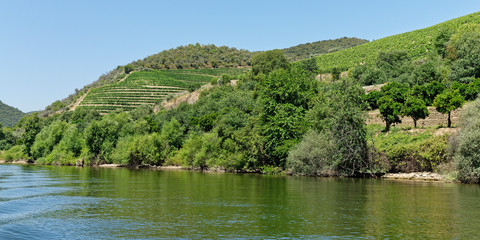 auf dem Douro, Nähe Pinhao, Portugal
