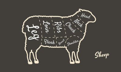 Meat diagram. Cuts of sheep. Sheep silhouette isolated on brown background. Vintage poster for butcher shop, restaurant menu. Vector illustration