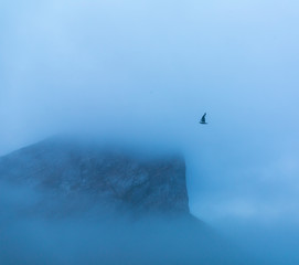 Svalbard Islands, Artic Ocean, Norway, Europe