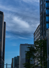 Fototapeta premium Skyscrapers in Chicago