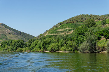 Fototapeta premium auf dem Douro, Nähe Pinhao, Portugal