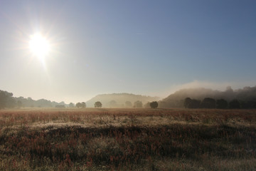 Bord de Loire dans la brume