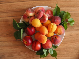 Ripe peaches and apricots on a white plate and a wooden background