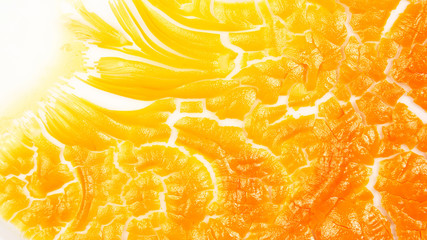 Dry egg yolk background yellow texture