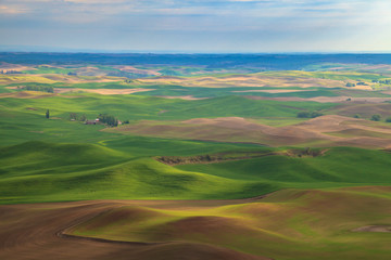Aerial view of the farmland in the Palouse region of Eastern Washington state, USA