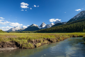 Naklejka na ściany i meble A creek and mountains in Kanaknskis Alberta, Canada