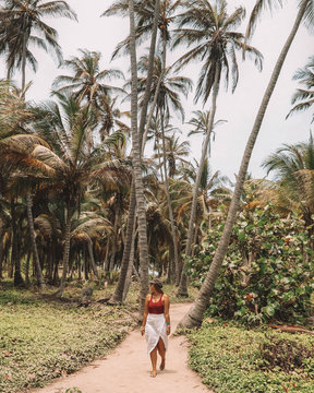 Young woman walking on path along palm forest