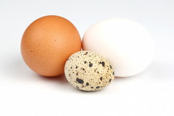 different chicken eggs on a white background