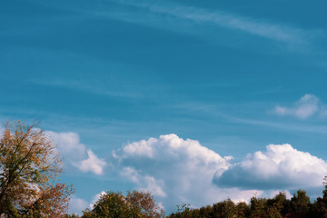 autumn landscape with blue sky and white clouds