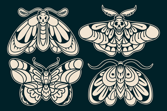 Moth hand drawing old school tattoo.