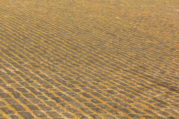 Road with old and typically paved for cars. Colonia de sacramento street, old Portuguese city in Uruguay