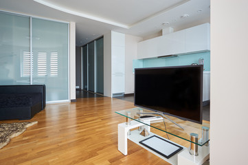 TV area in the living room with parquet floor