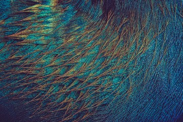 Blue, brown, and teal thread artwork