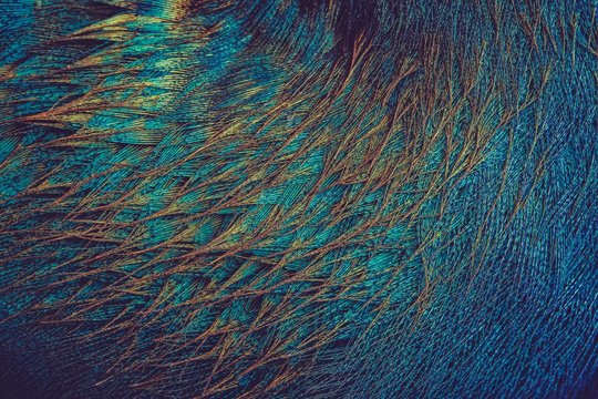 Blue, brown, and teal thread artwork