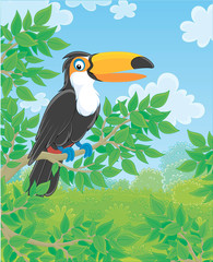 Black and white toucan with a big colorful beak perched on a green branch in tropical jungle, vector illustrations in a cartoon style
