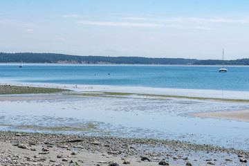 beach and sea